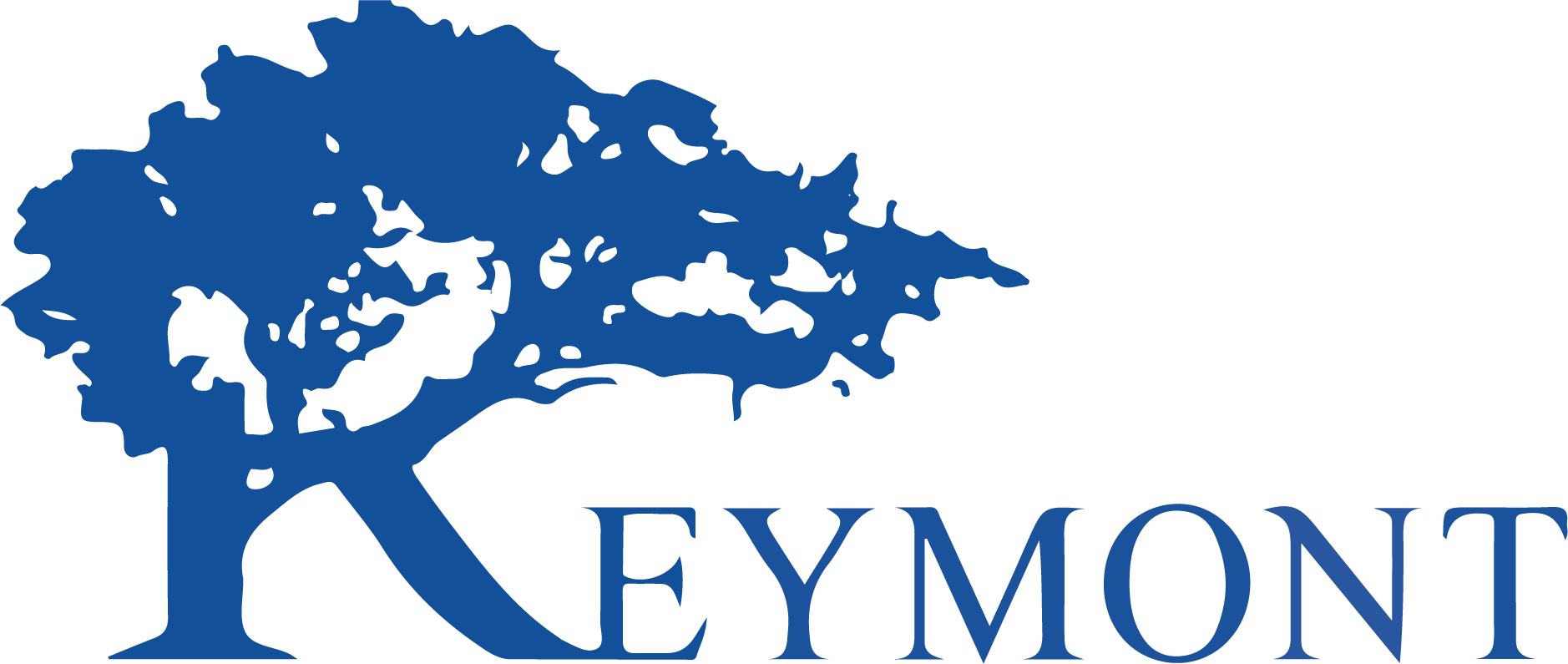 Reymont Corporation logo